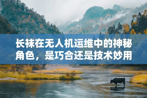 长袜在无人机运维中的神秘角色，是巧合还是技术妙用？