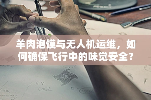 羊肉泡馍与无人机运维，如何确保飞行中的味觉安全？