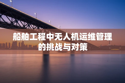 船舶工程中无人机运维管理的挑战与对策