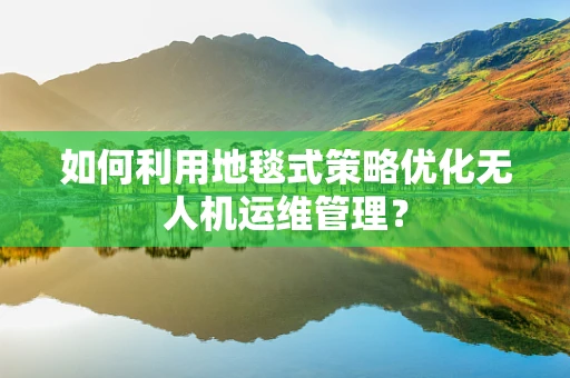 如何利用地毯式策略优化无人机运维管理？