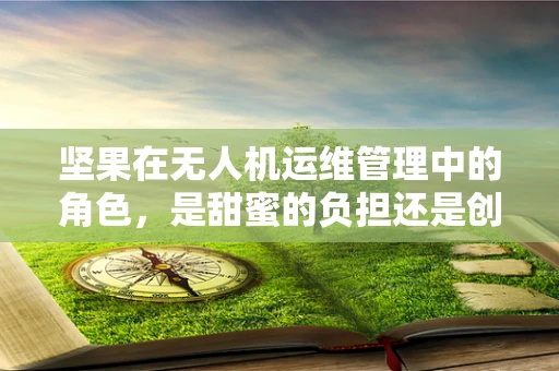 坚果在无人机运维管理中的角色，是甜蜜的负担还是创新的契机？