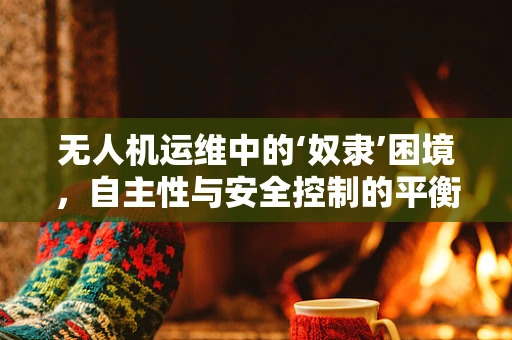 无人机运维中的‘奴隶’困境，自主性与安全控制的平衡