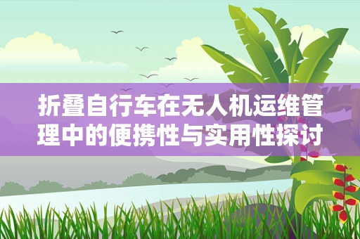 折叠自行车在无人机运维管理中的便携性与实用性探讨