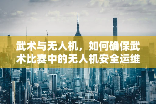 武术与无人机，如何确保武术比赛中的无人机安全运维？