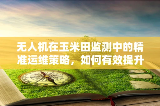 无人机在玉米田监测中的精准运维策略，如何有效提升监测效率？