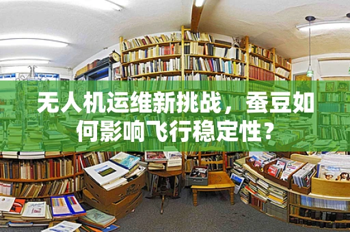 无人机运维新挑战，蚕豆如何影响飞行稳定性？