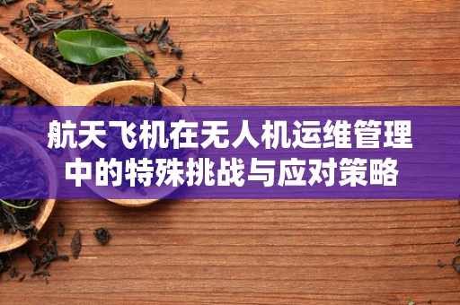 航天飞机在无人机运维管理中的特殊挑战与应对策略