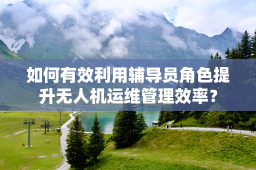 如何有效利用辅导员角色提升无人机运维管理效率？