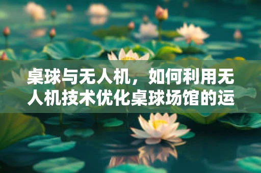 桌球与无人机，如何利用无人机技术优化桌球场馆的运维管理？