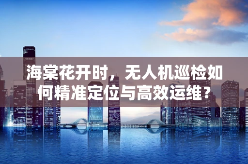 海棠花开时，无人机巡检如何精准定位与高效运维？