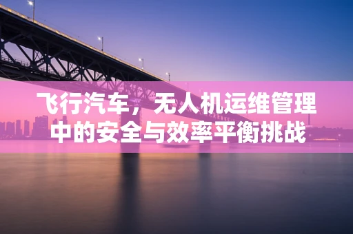 飞行汽车，无人机运维管理中的安全与效率平衡挑战