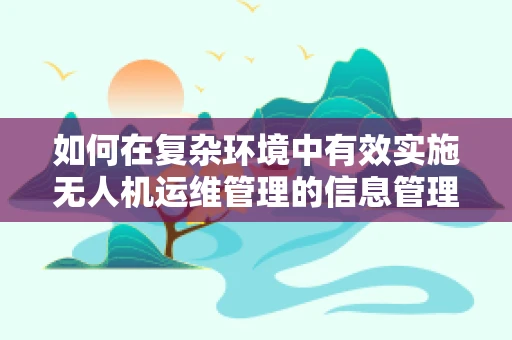 如何在复杂环境中有效实施无人机运维管理的信息管理策略？