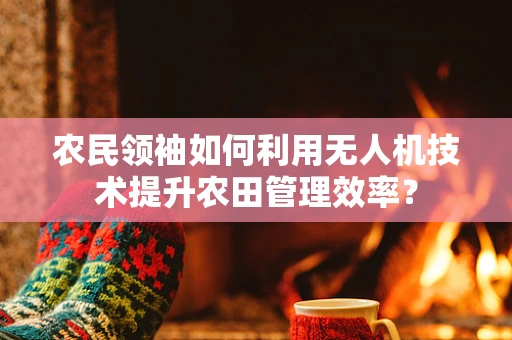 农民领袖如何利用无人机技术提升农田管理效率？