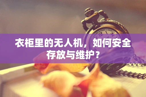 衣柜里的无人机，如何安全存放与维护？