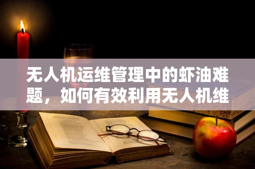 无人机运维管理中的虾油难题，如何有效利用无人机维护数据？