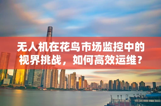 无人机在花鸟市场监控中的视界挑战，如何高效运维？
