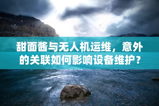 甜面酱与无人机运维，意外的关联如何影响设备维护？