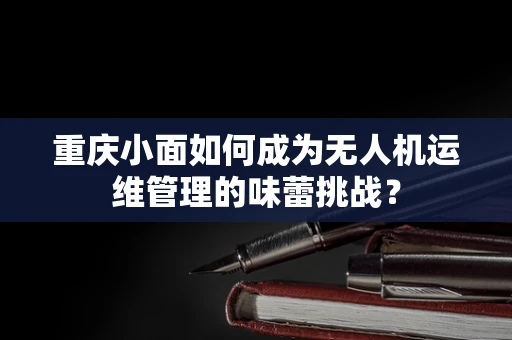 重庆小面如何成为无人机运维管理的味蕾挑战？