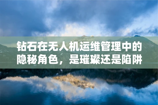 钻石在无人机运维管理中的隐秘角色，是璀璨还是陷阱？