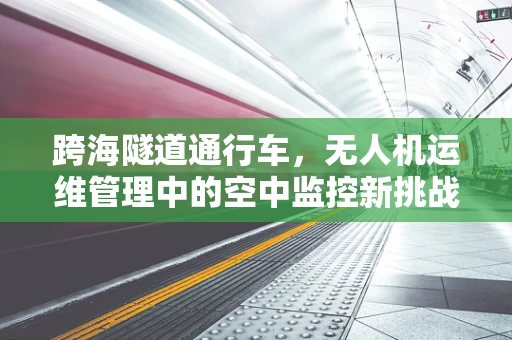 跨海隧道通行车，无人机运维管理中的空中监控新挑战