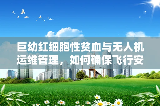 巨幼红细胞性贫血与无人机运维管理，如何确保飞行安全？
