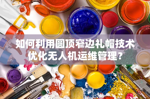 如何利用圆顶窄边礼帽技术优化无人机运维管理？