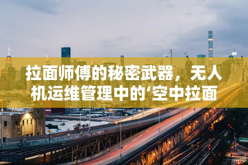拉面师傅的秘密武器，无人机运维管理中的‘空中拉面’挑战