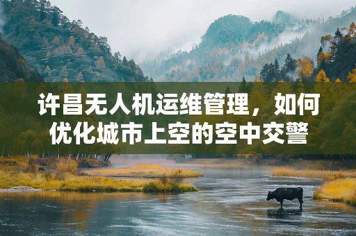 许昌无人机运维管理，如何优化城市上空的空中交警