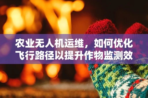 农业无人机运维，如何优化飞行路径以提升作物监测效率？