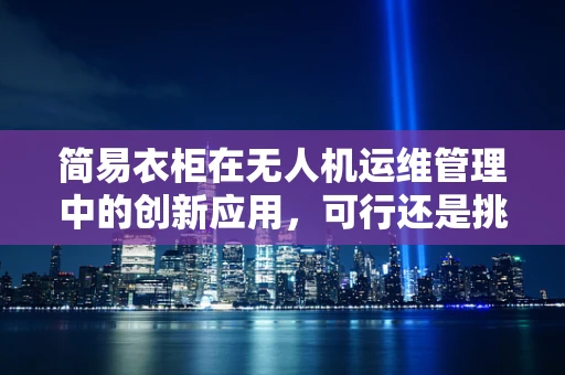 简易衣柜在无人机运维管理中的创新应用，可行还是挑战？