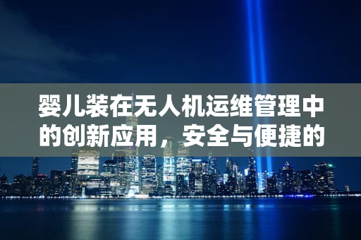 婴儿装在无人机运维管理中的创新应用，安全与便捷的双重考量