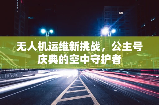 无人机运维新挑战，公主号庆典的空中守护者