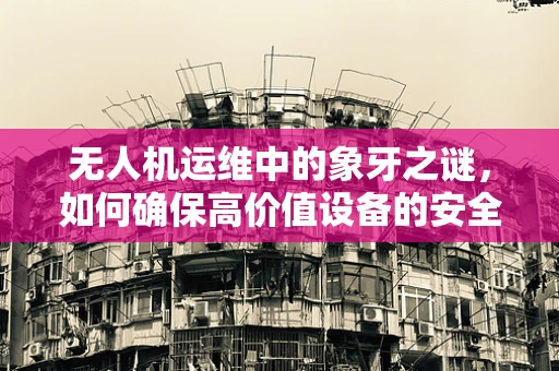 无人机运维中的象牙之谜，如何确保高价值设备的安全维护？