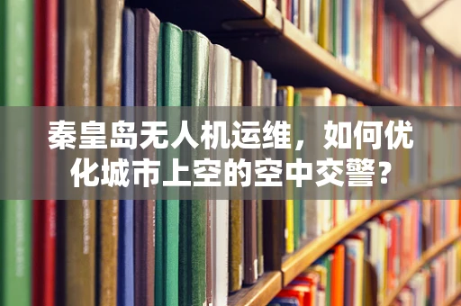 秦皇岛无人机运维，如何优化城市上空的空中交警？