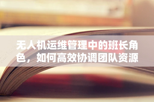 无人机运维管理中的班长角色，如何高效协调团队资源？