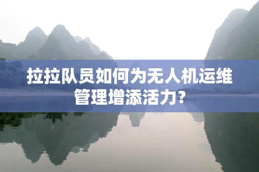 拉拉队员如何为无人机运维管理增添活力？