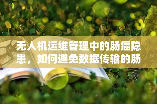 无人机运维管理中的肠癌隐患，如何避免数据传输的肠道堵塞？