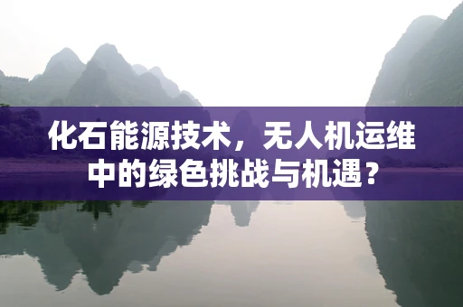 化石能源技术，无人机运维中的绿色挑战与机遇？