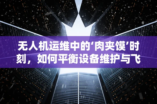 无人机运维中的‘肉夹馍’时刻，如何平衡设备维护与飞行任务？