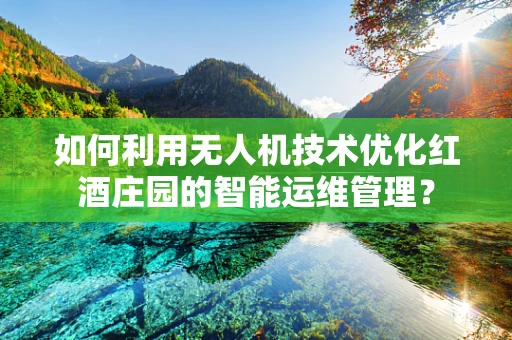 如何利用无人机技术优化红酒庄园的智能运维管理？
