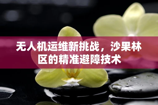 无人机运维新挑战，沙果林区的精准避障技术