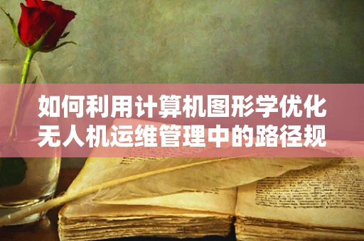 如何利用计算机图形学优化无人机运维管理中的路径规划？