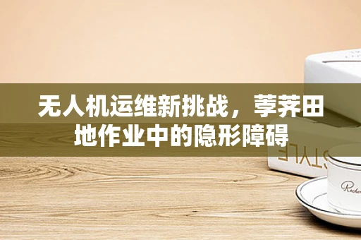 无人机运维新挑战，荸荠田地作业中的隐形障碍