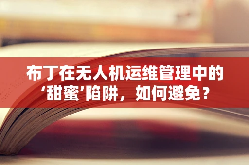 布丁在无人机运维管理中的‘甜蜜’陷阱，如何避免？