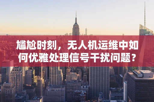 尴尬时刻，无人机运维中如何优雅处理信号干扰问题？