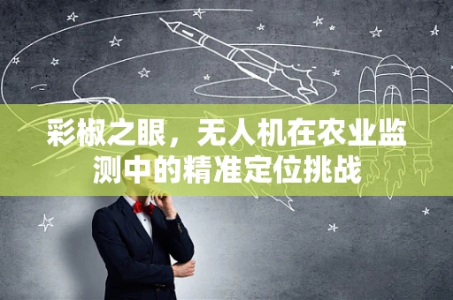 彩椒之眼，无人机在农业监测中的精准定位挑战