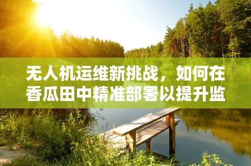 无人机运维新挑战，如何在香瓜田中精准部署以提升监控效率？