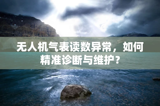 无人机气表读数异常，如何精准诊断与维护？