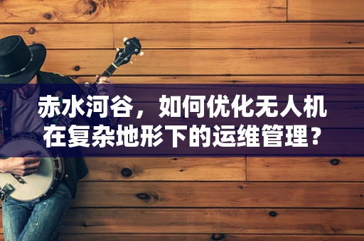 赤水河谷，如何优化无人机在复杂地形下的运维管理？
