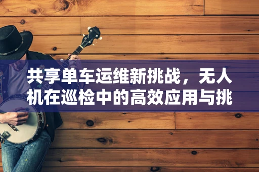 共享单车运维新挑战，无人机在巡检中的高效应用与挑战